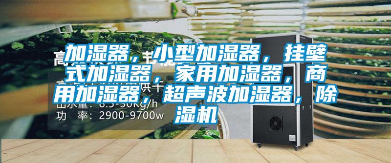 加濕器，小型加濕器，掛壁式加濕器，家用加濕器，商用加濕器，超聲波加濕器，除濕機(jī)