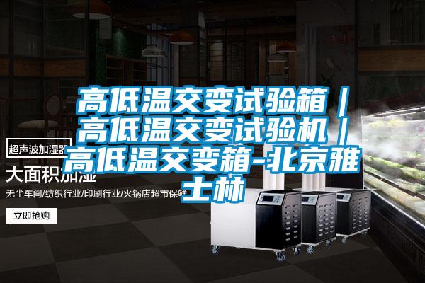 高低溫交變試驗箱｜高低溫交變試驗機｜高低溫交變箱-北京雅士林