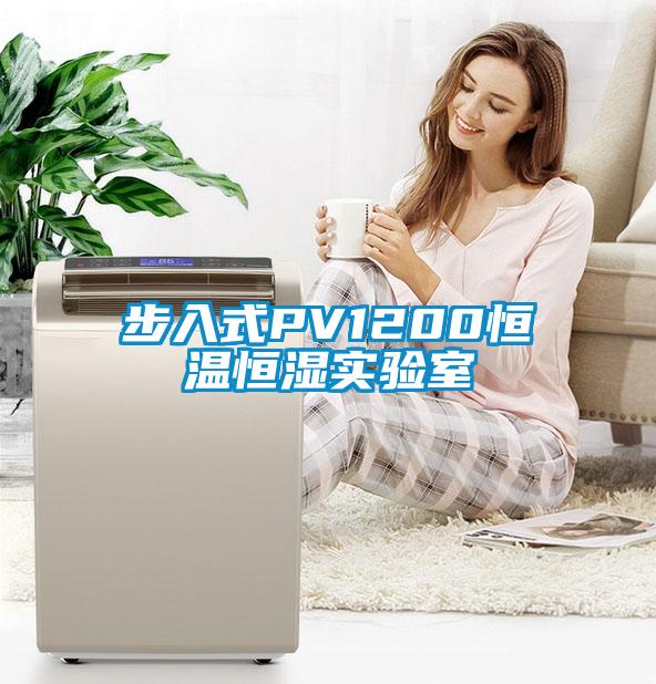 步入式PV1200恒溫恒濕實(shí)驗(yàn)室