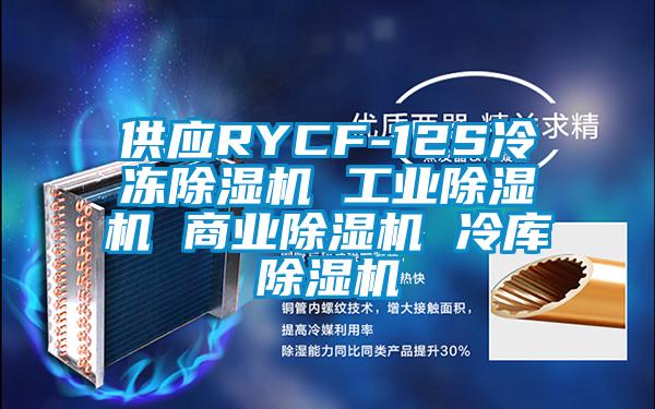 供應(yīng)RYCF-12S冷凍除濕機(jī) 工業(yè)除濕機(jī) 商業(yè)除濕機(jī) 冷庫(kù)除濕機(jī)