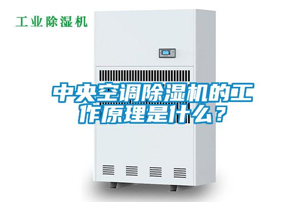 中央空調除濕機的工作原理是什么？