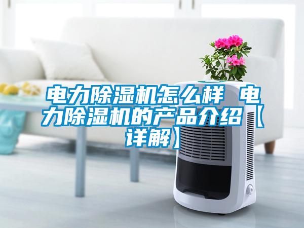 電力除濕機怎么樣 電力除濕機的產(chǎn)品介紹【詳解】