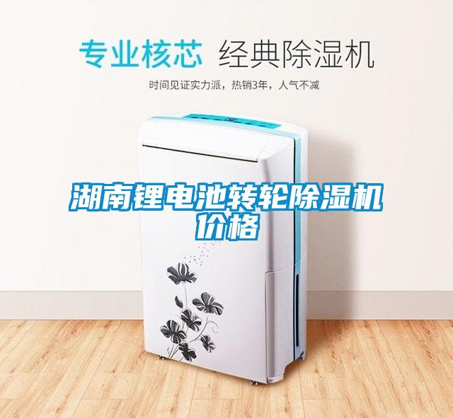 湖南鋰電池轉(zhuǎn)輪除濕機價格