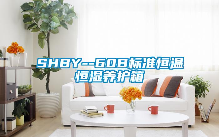 SHBY--60B標準恒溫恒濕養(yǎng)護箱