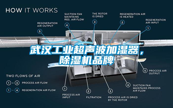 武漢工業(yè)超聲波加濕器，除濕機(jī)品牌