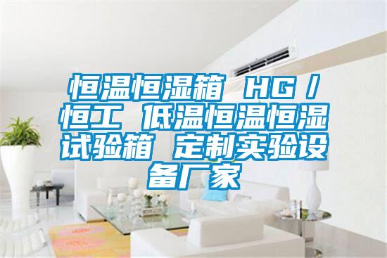 恒溫恒濕箱 HG／恒工 低溫恒溫恒濕試驗箱 定制實驗設(shè)備廠家