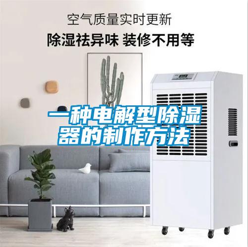 一種電解型除濕器的制作方法