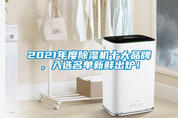 2021年度除濕機十大品牌，入選名單新鮮出爐！