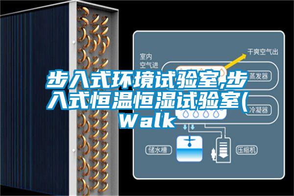 步入式環(huán)境試驗(yàn)室,步入式恒溫恒濕試驗(yàn)室(Walk