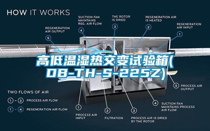 高低溫濕熱交變試驗箱(DB-TH-S-225Z)