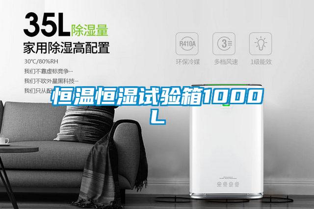 恒溫恒濕試驗(yàn)箱1000L