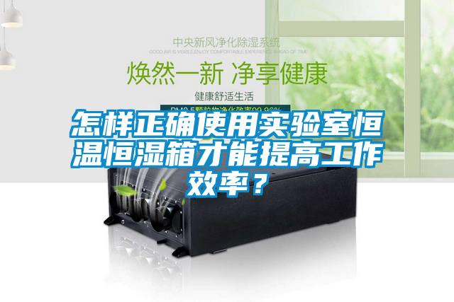 怎樣正確使用實(shí)驗(yàn)室恒溫恒濕箱才能提高工作效率？