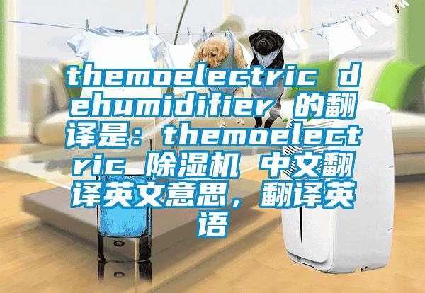 themoelectric dehumidifier 的翻譯是：themoelectric 除濕機(jī) 中文翻譯英文意思，翻譯英語