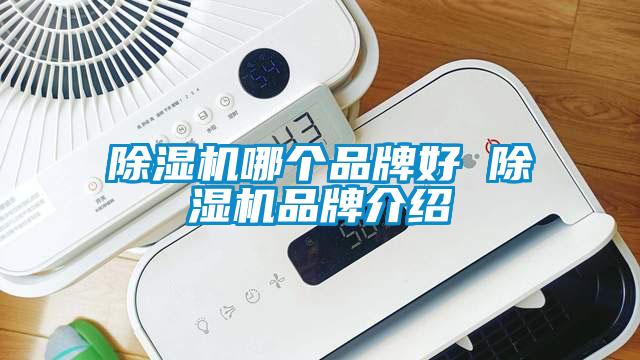 除濕機哪個品牌好 除濕機品牌介紹