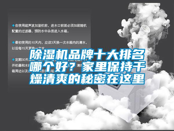 除濕機品牌十大排名哪個好？家里保持干燥清爽的秘密在這里