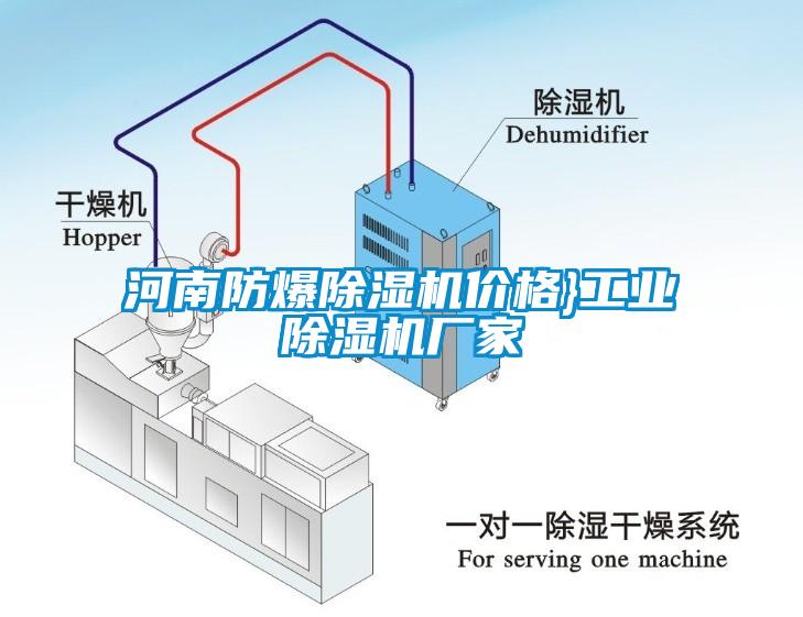 河南防爆除濕機(jī)價格}工業(yè)除濕機(jī)廠家