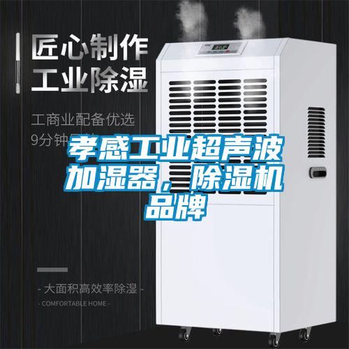 孝感工業(yè)超聲波加濕器，除濕機品牌