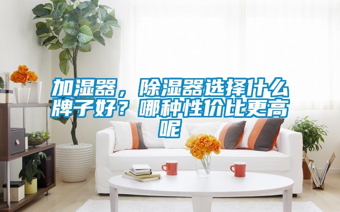 加濕器，除濕器選擇什么牌子好？哪種性價(jià)比更高呢