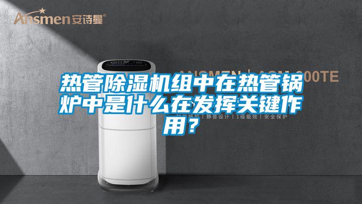 熱管除濕機組中在熱管鍋爐中是什么在發(fā)揮關(guān)鍵作用？