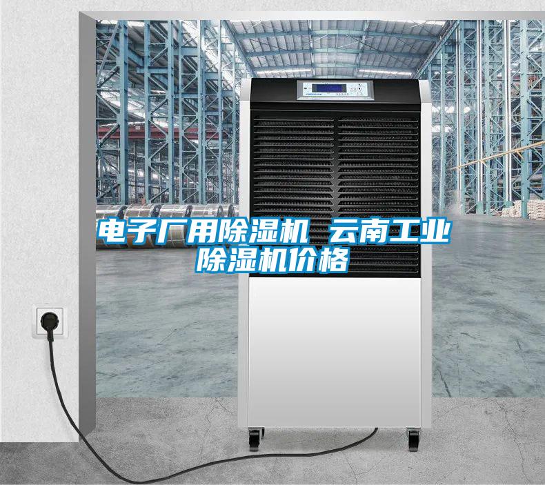 電子廠用除濕機(jī) 云南工業(yè)除濕機(jī)價(jià)格