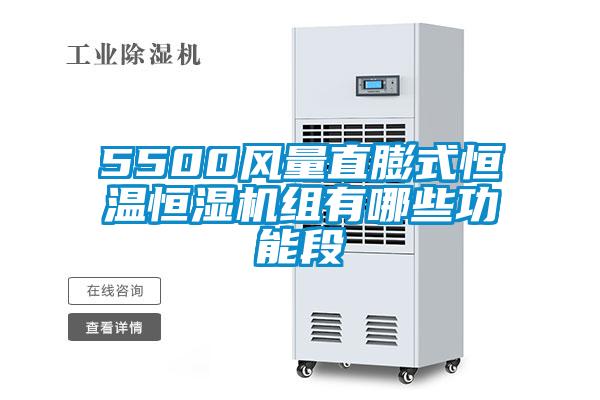 5500風(fēng)量直膨式恒溫恒濕機(jī)組有哪些功能段