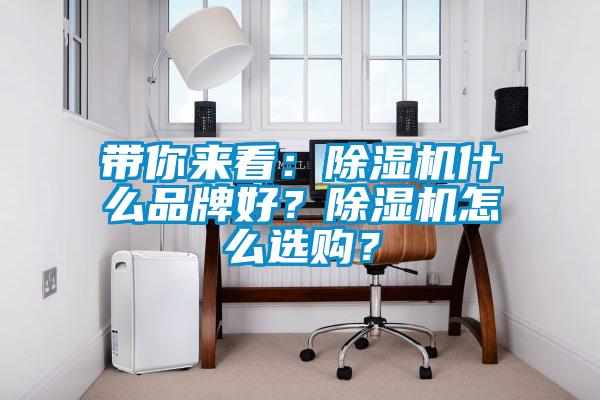 帶你來看：除濕機什么品牌好？除濕機怎么選購？