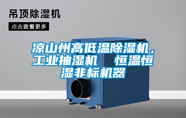 涼山州高低溫除濕機，工業(yè)抽濕機  恒溫恒濕非標(biāo)機器