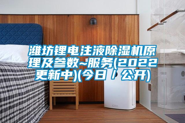 濰坊鋰電注液除濕機原理及參數(shù)~服務(2022更新中)(今日／公開)