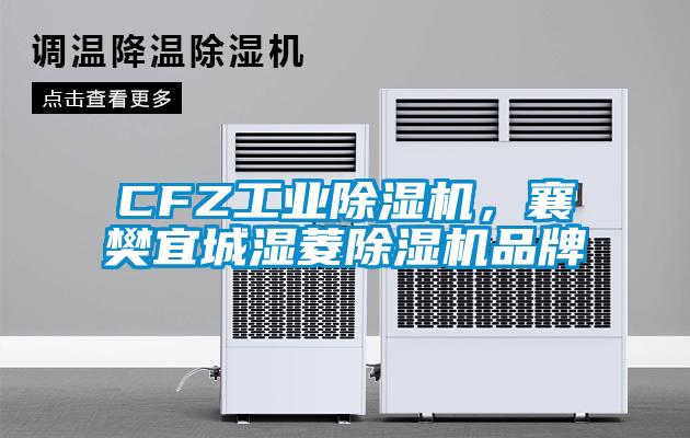 CFZ工業(yè)除濕機，襄樊宜城濕菱除濕機品牌