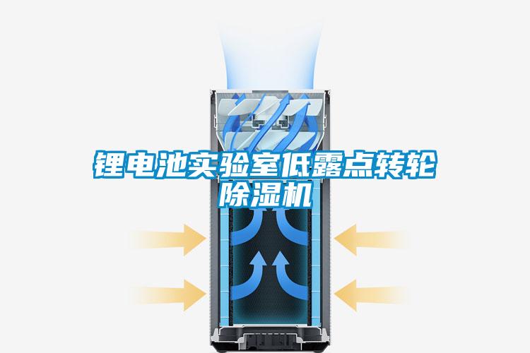 鋰電池實驗室低露點轉(zhuǎn)輪除濕機