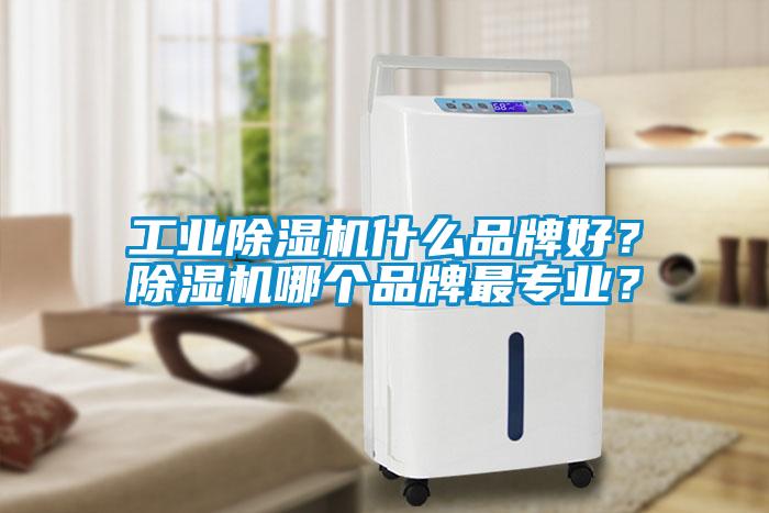 工業(yè)除濕機什么品牌好？除濕機哪個品牌最專業(yè)？