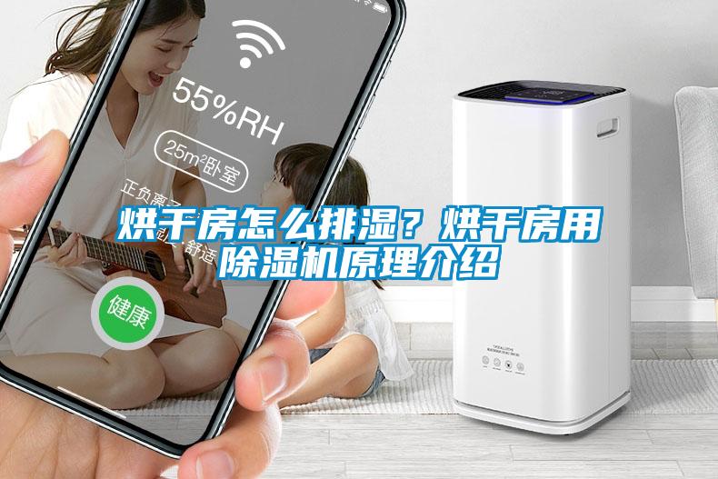 烘干房怎么排濕？烘干房用除濕機原理介紹