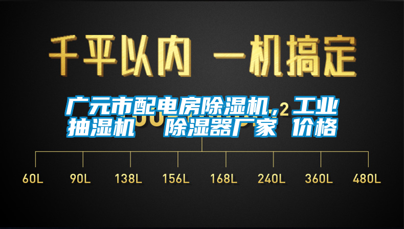 廣元市配電房除濕機，工業(yè)抽濕機  除濕器廠家 價格