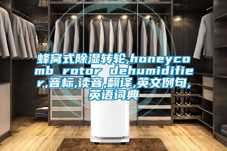 蜂窩式除濕轉(zhuǎn)輪,honeycomb rotor dehumidifier,音標(biāo),讀音,翻譯,英文例句,英語(yǔ)詞典