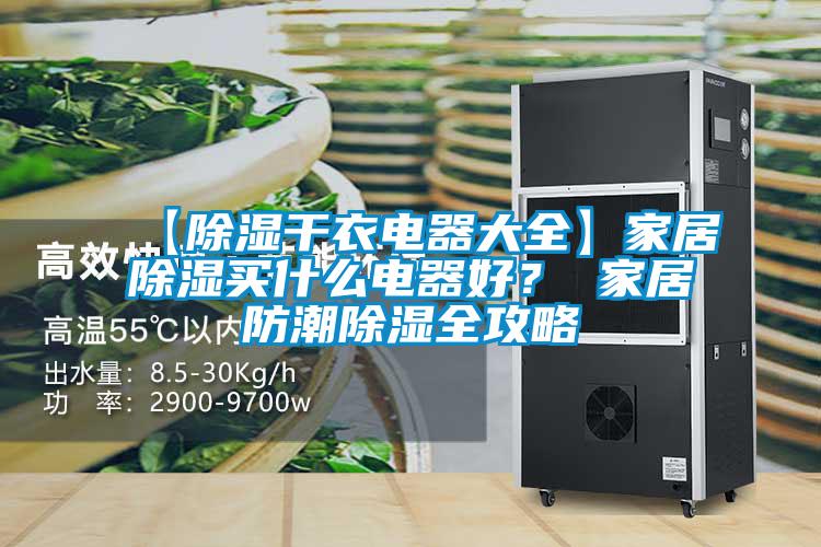 【除濕干衣電器大全】家居除濕買什么電器好？ 家居防潮除濕全攻略