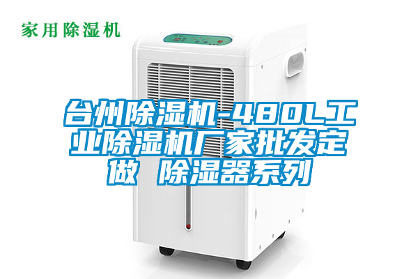 臺州除濕機(jī)-480L工業(yè)除濕機(jī)廠家批發(fā)定做 除濕器系列