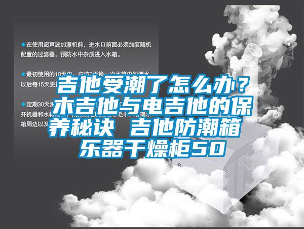 吉他受潮了怎么辦？木吉他與電吉他的保養(yǎng)秘訣 吉他防潮箱 樂(lè)器干燥柜50