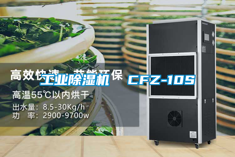 工業(yè)除濕機(jī)  CFZ-10S