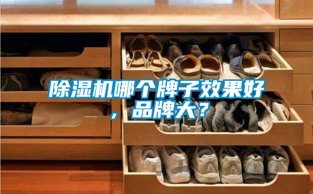 除濕機哪個牌子效果好，品牌大？