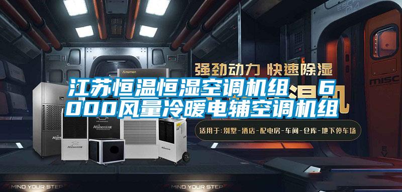 江蘇恒溫恒濕空調機組  6000風量冷暖電輔空調機組