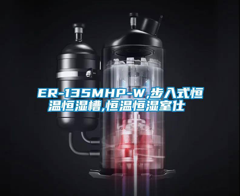 ER-135MHP-W,步入式恒溫恒濕槽,恒溫恒濕室仕様書(shū)