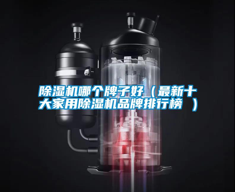 除濕機哪個牌子好（最新十大家用除濕機品牌排行榜 ）