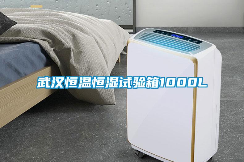 武漢恒溫恒濕試驗(yàn)箱1000L