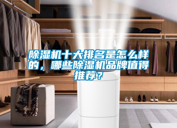 除濕機十大排名是怎么樣的，哪些除濕機品牌值得推薦？