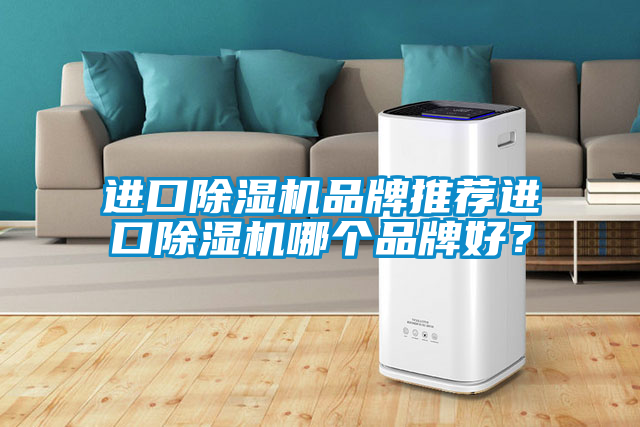 進口除濕機品牌推薦進口除濕機哪個品牌好？