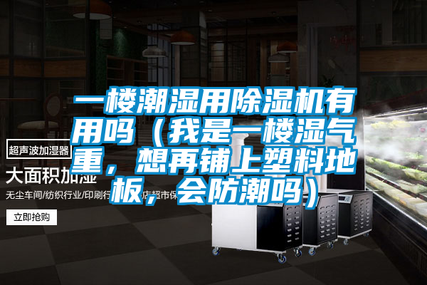 一樓潮濕用除濕機有用嗎（我是一樓濕氣重，想再鋪上塑料地板，會防潮嗎）