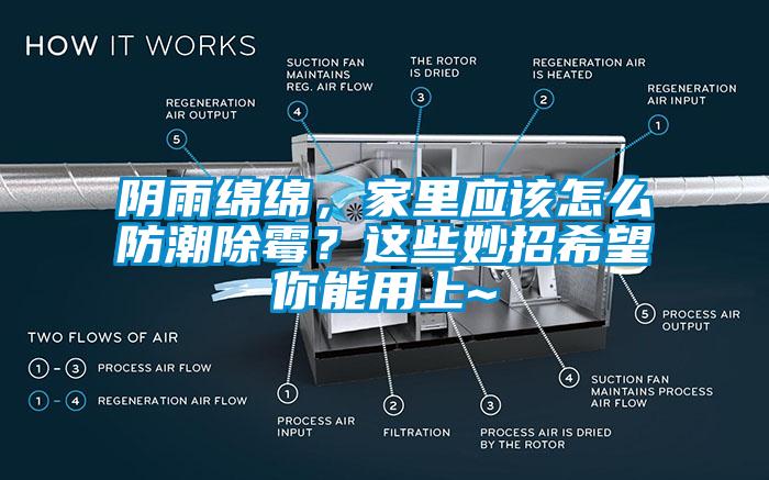 陰雨綿綿，家里應(yīng)該怎么防潮除霉？這些妙招希望你能用上~