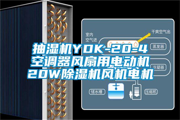 抽濕機(jī)YDK-20-4空調(diào)器風(fēng)扇用電動(dòng)機(jī)20W除濕機(jī)風(fēng)機(jī)電機(jī)