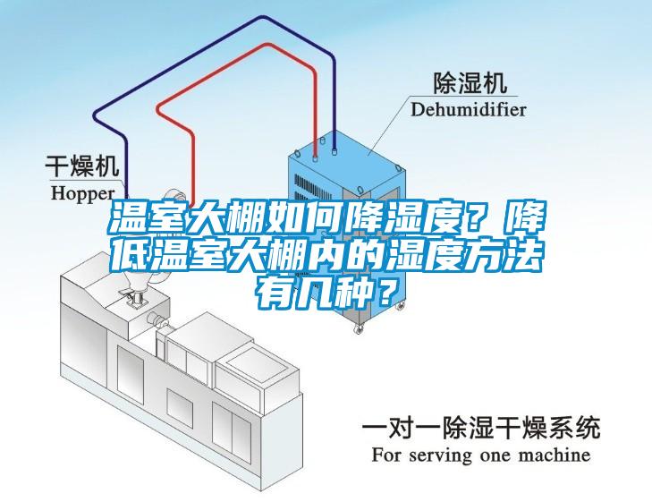 溫室大棚如何降濕度？降低溫室大棚內(nèi)的濕度方法有幾種？