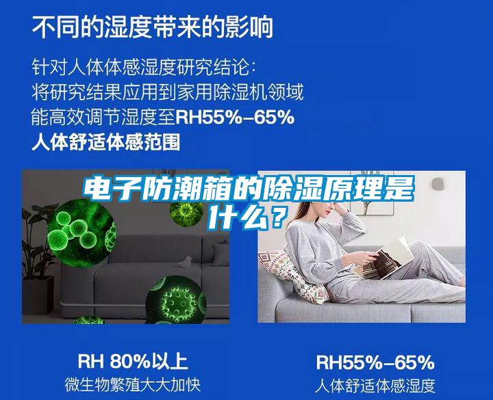 電子防潮箱的除濕原理是什么？